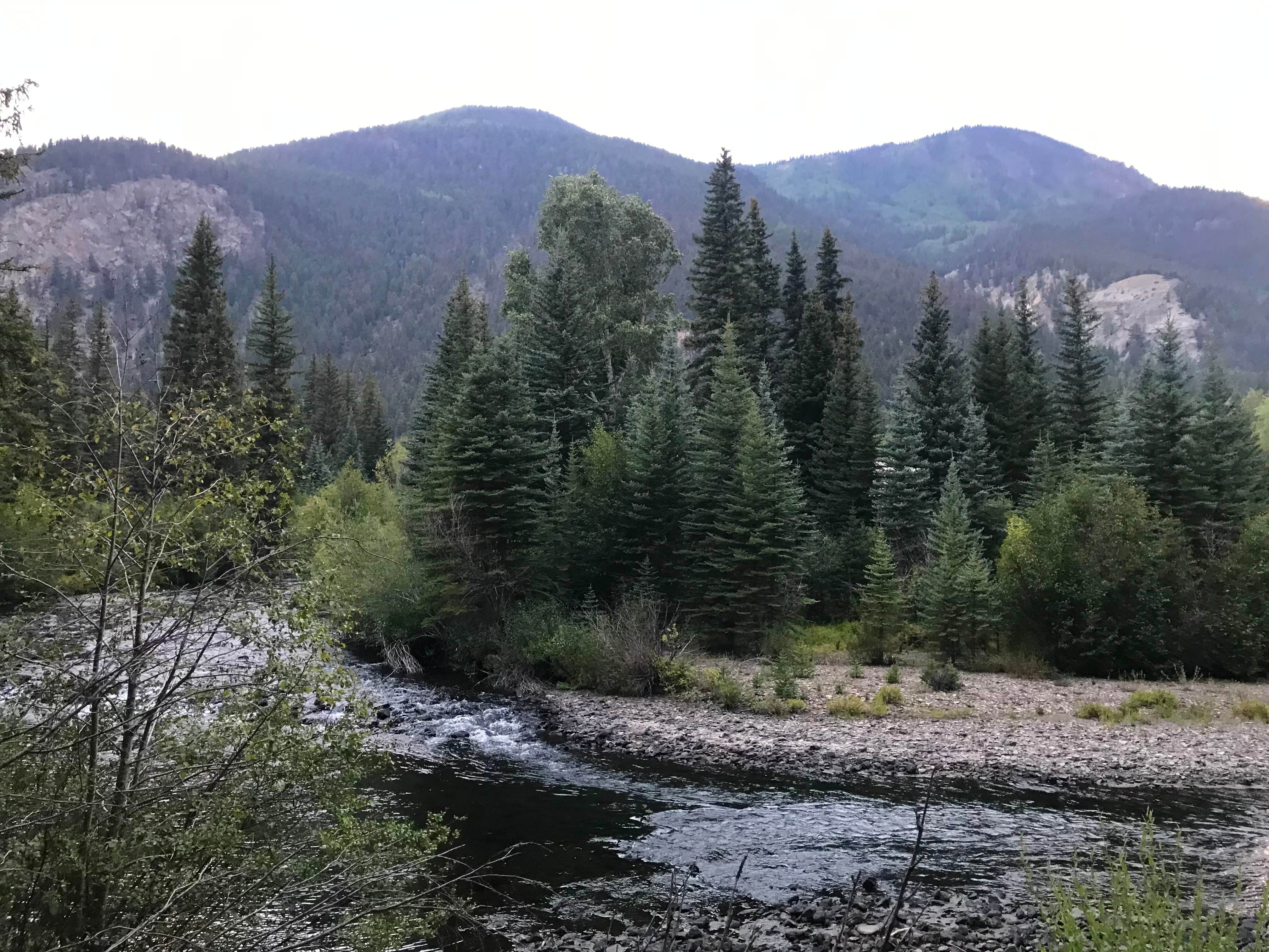Camper-submitted photo at Woodlake Camper Park near Lake City, CO