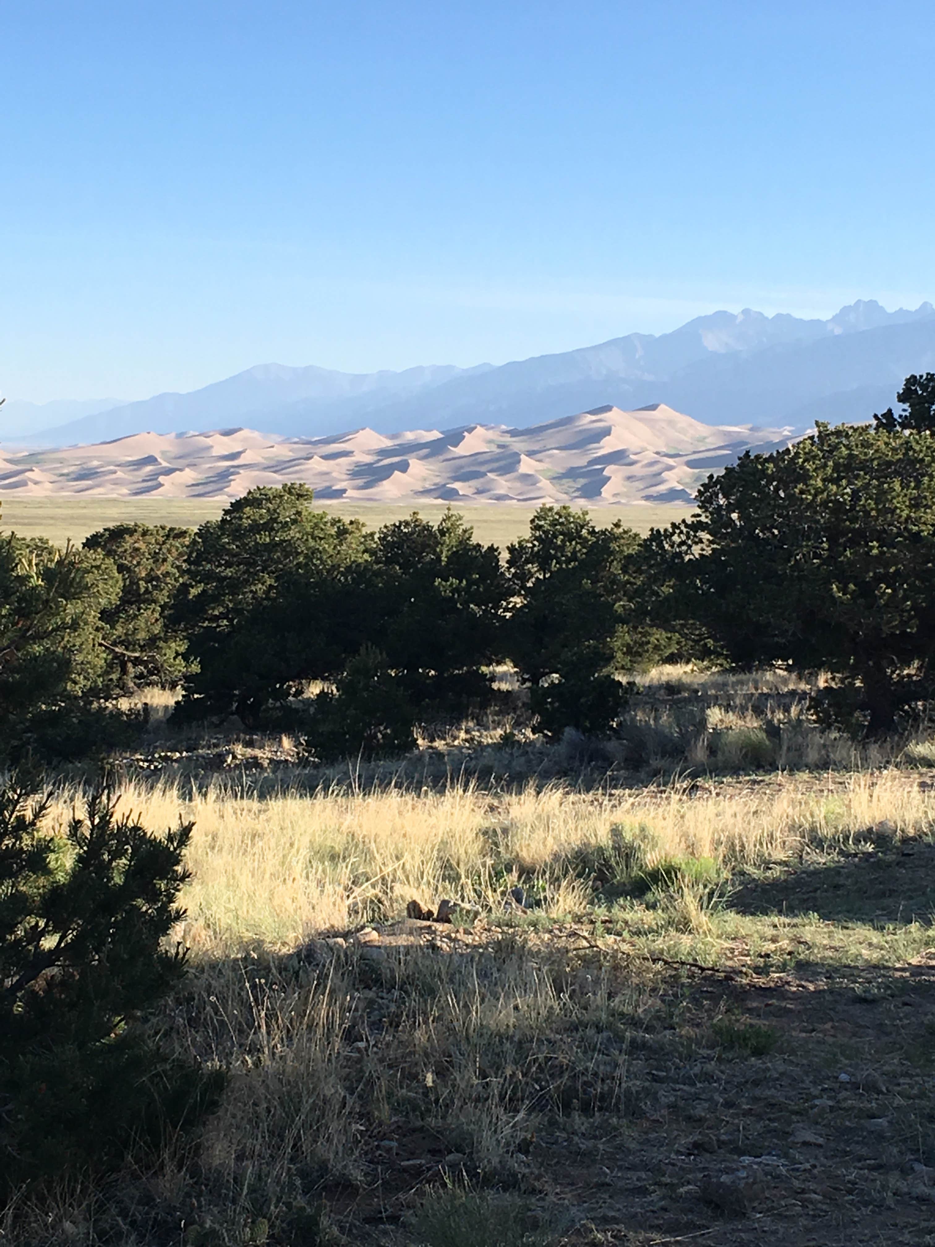 Camper-submitted photo at Great Sand Dunes Oasis near Mosca, CO