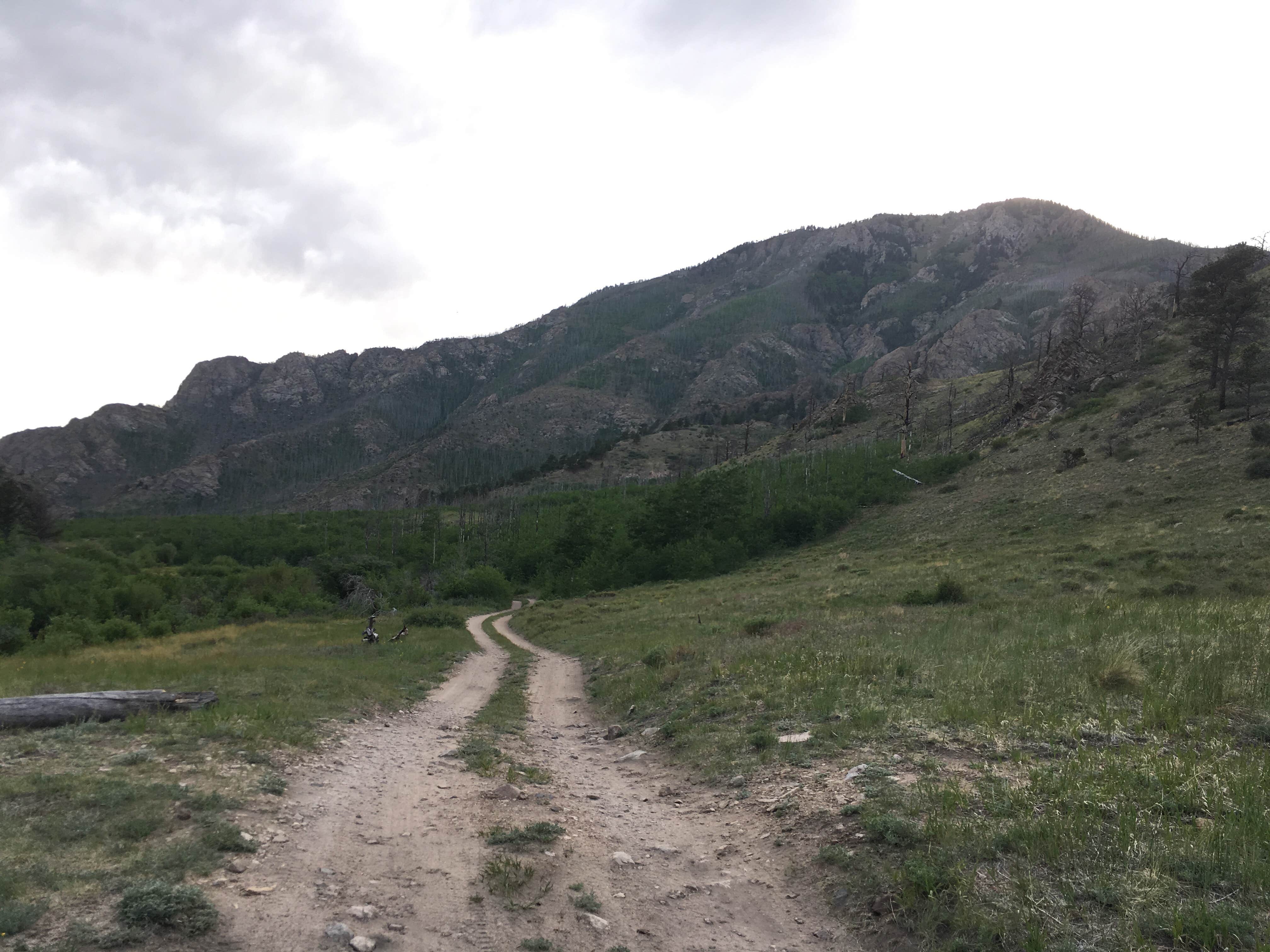 Camper submitted image from Great Sand Dunes Oasis - 4