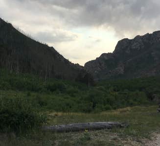 Camper-submitted photo from Deer Creek Campground — Golden Gate Canyon
