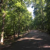 Review photo of Spring Creek Primitive Campground — Mousetail Landing State Park by Amanda  F., July 19, 2016