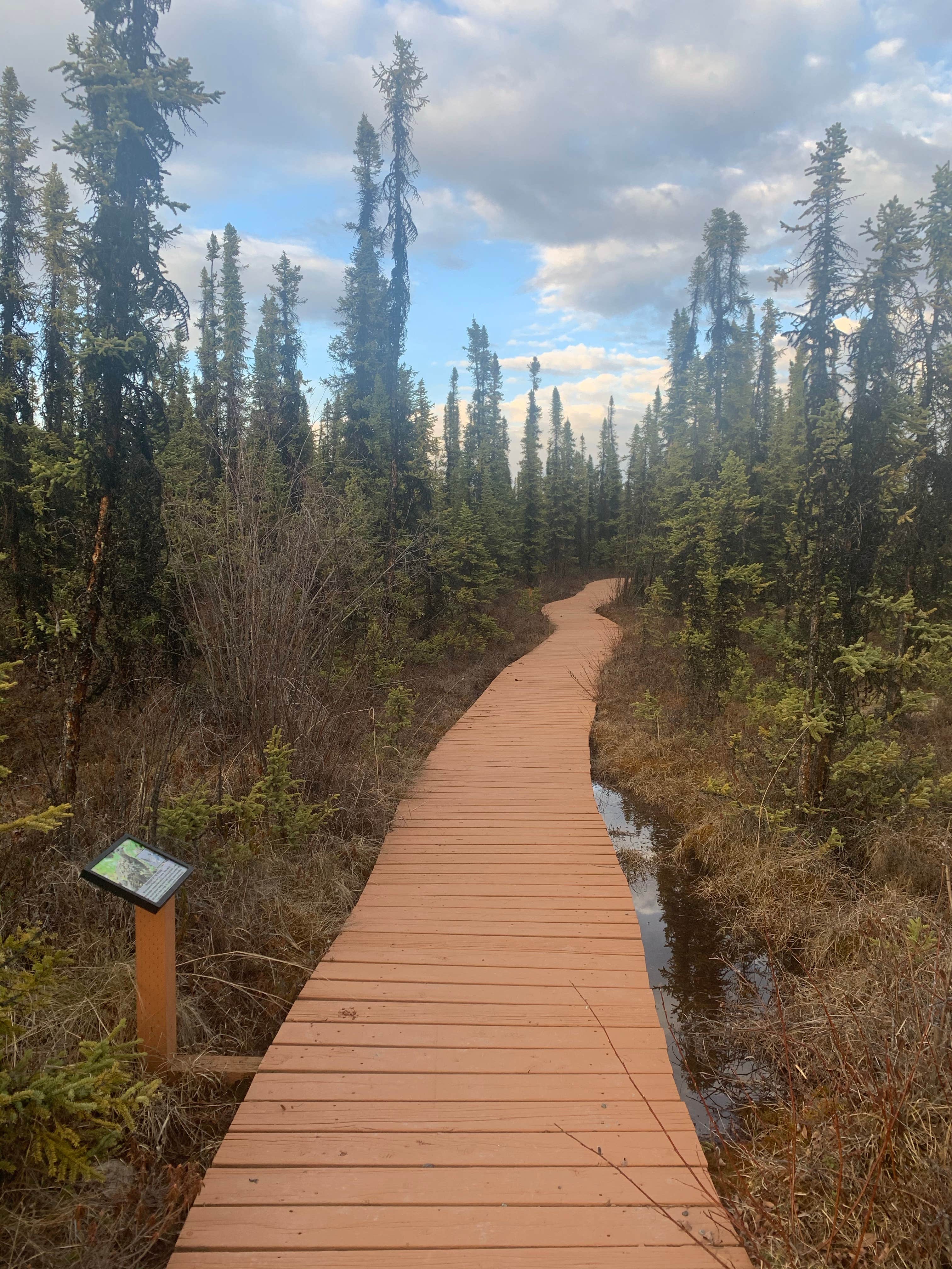 Camper submitted image from Deadman Lake Campground - 5