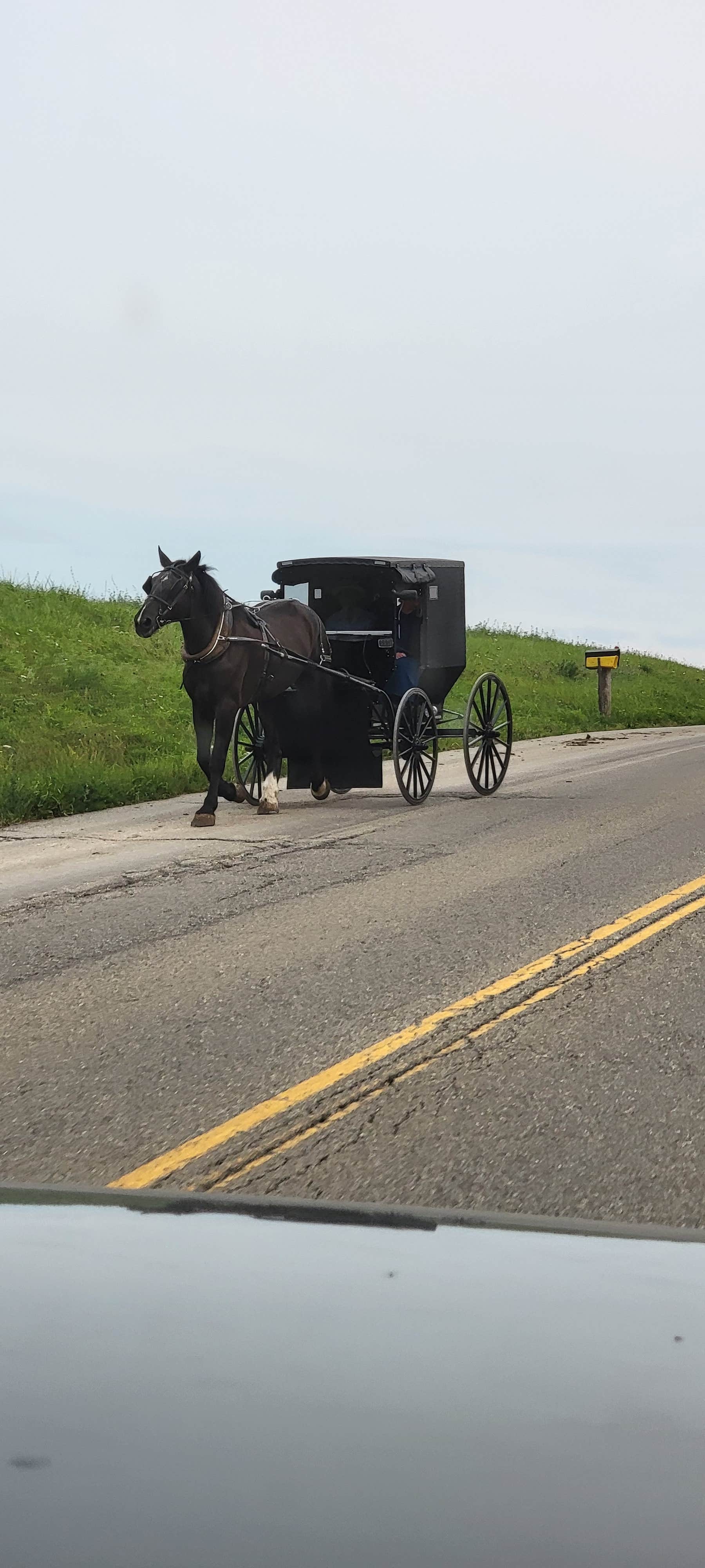 Camper-submitted photo at Berlin RV Park & Campground near Bolivar, OH