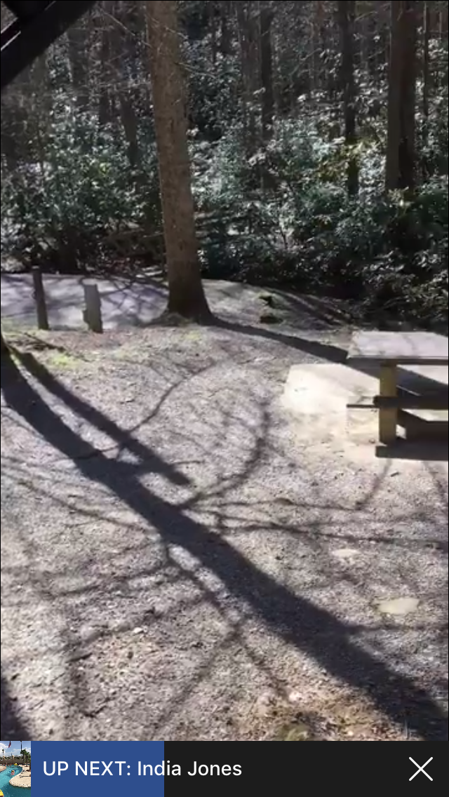 Camper-submitted photo at Roan Mountain State Park Campground near Ducktown, TN