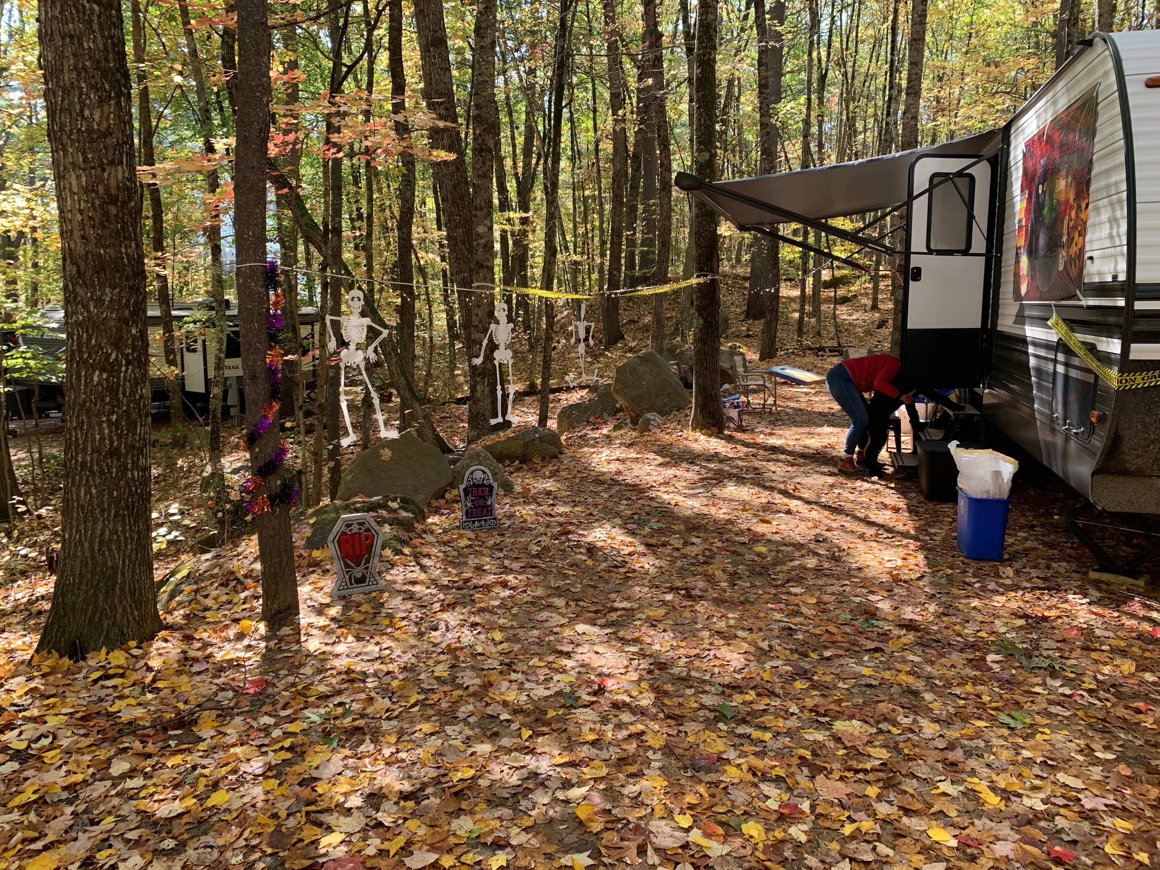 Camper-submitted photo at Acres Of Wildlife Family Campground near Newfield, ME