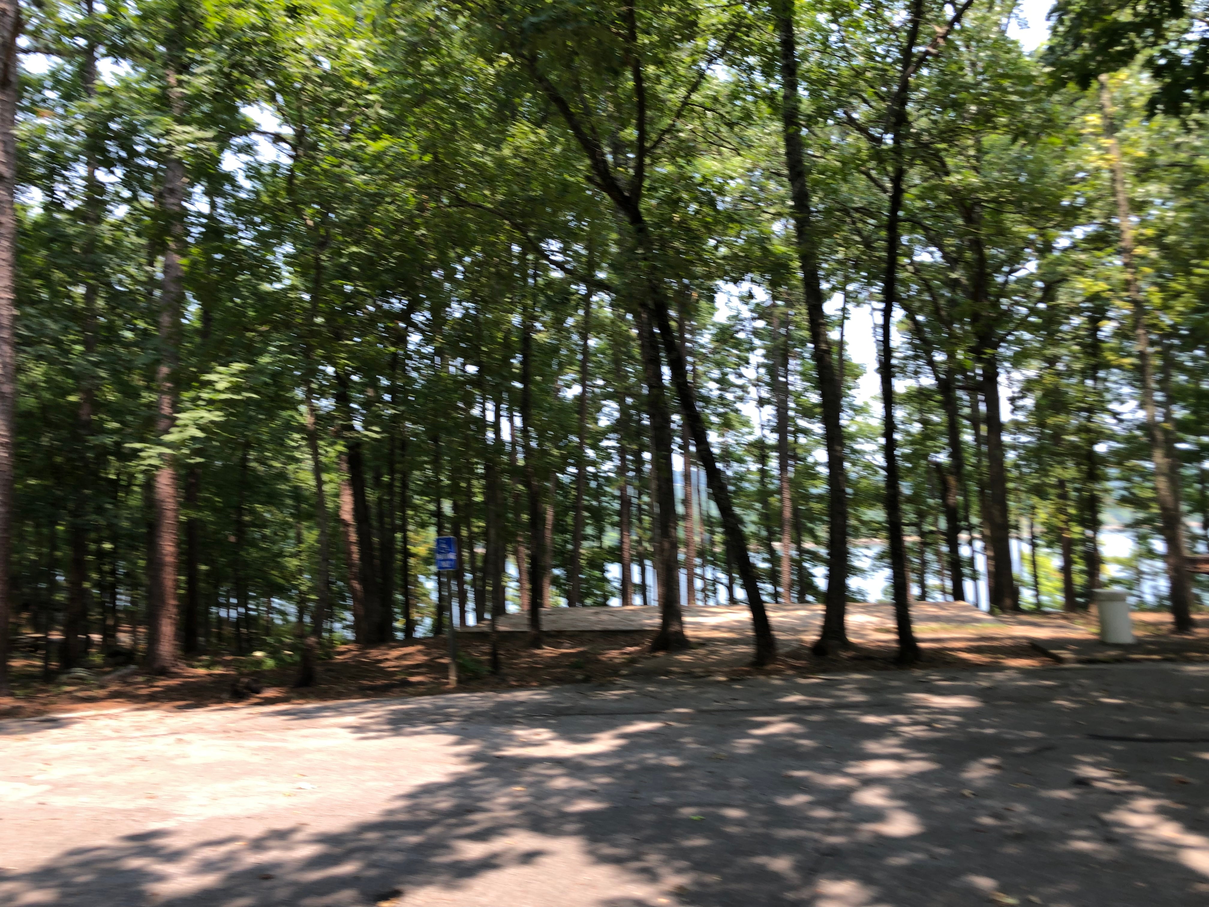 Camper submitted image from COE Greers Ferry Lake Mill Creek Recreation Area - 3