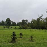 Review photo of Heritage Farms by Danielle C., September 5, 2021