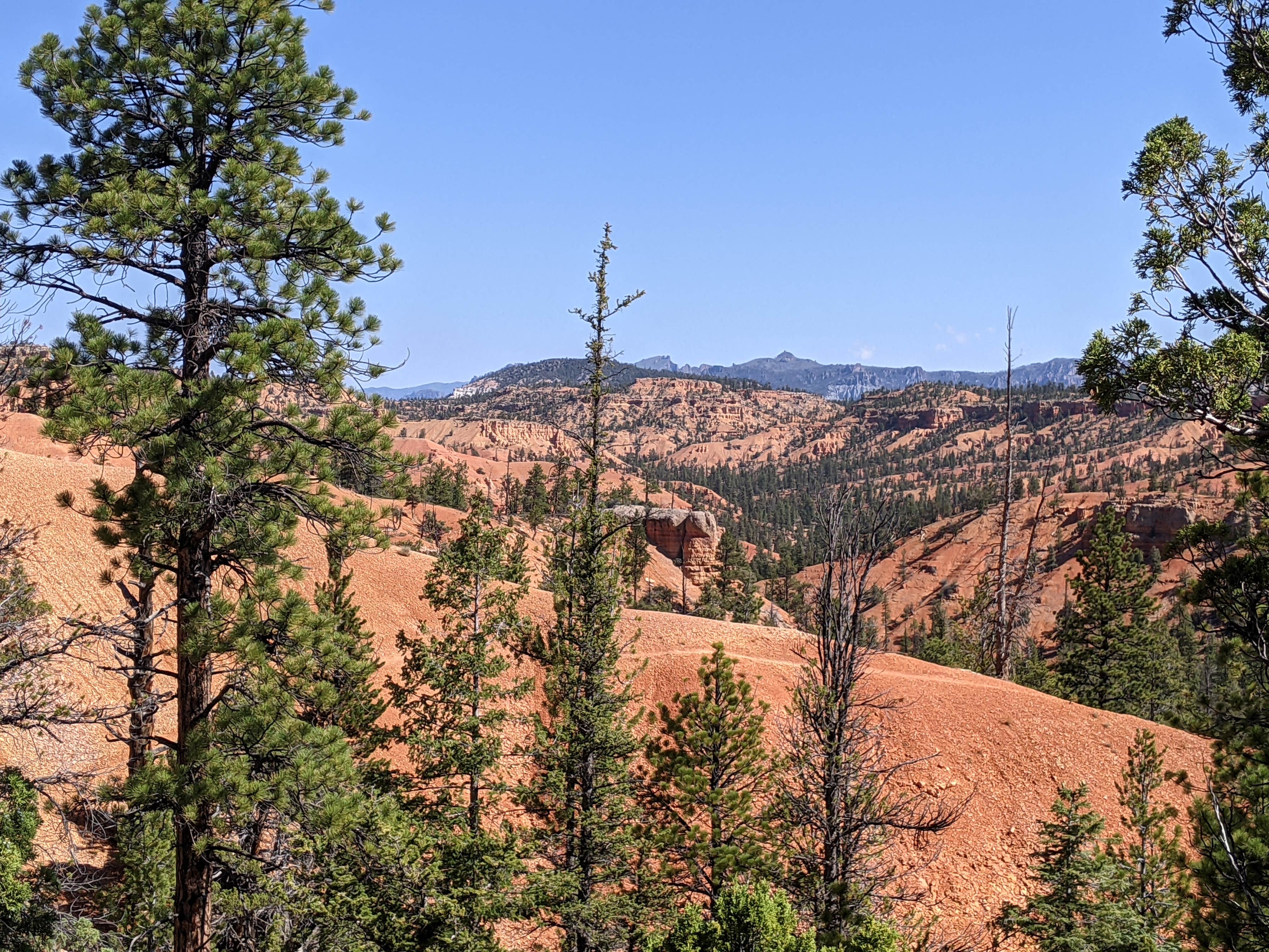 Best dispersed camping in Fishlake National Forest The Dyrt