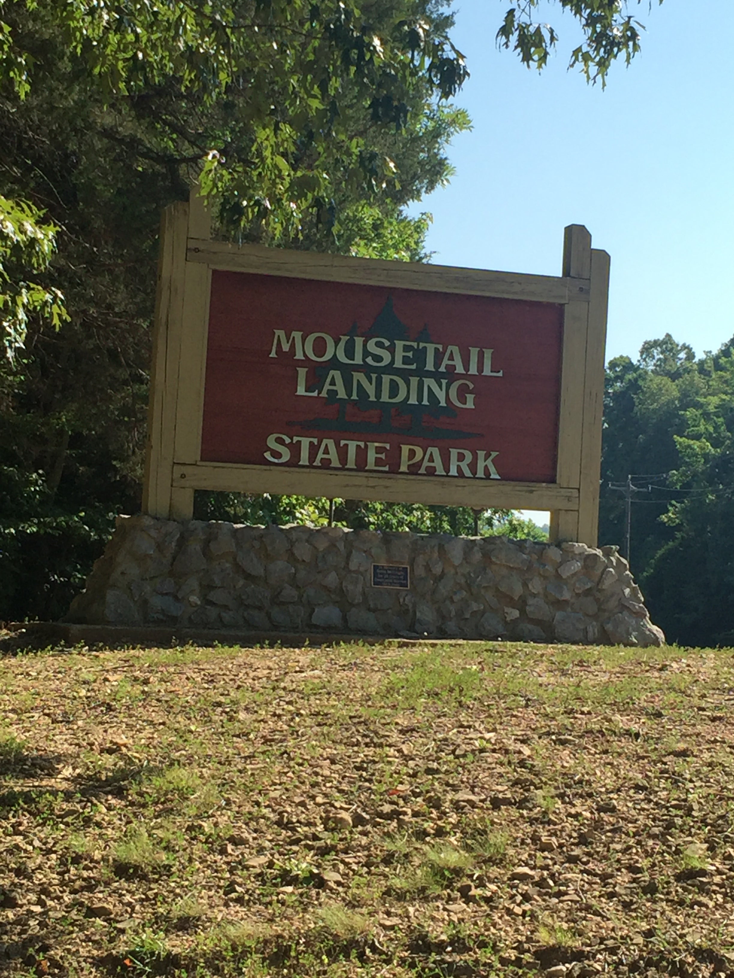 Camper submitted image from Spring Creek Primitive Campground — Mousetail Landing State Park - 2