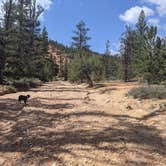 Review photo of Toms Best Spring Road - Dispersed Camping by Greg L., September 5, 2021