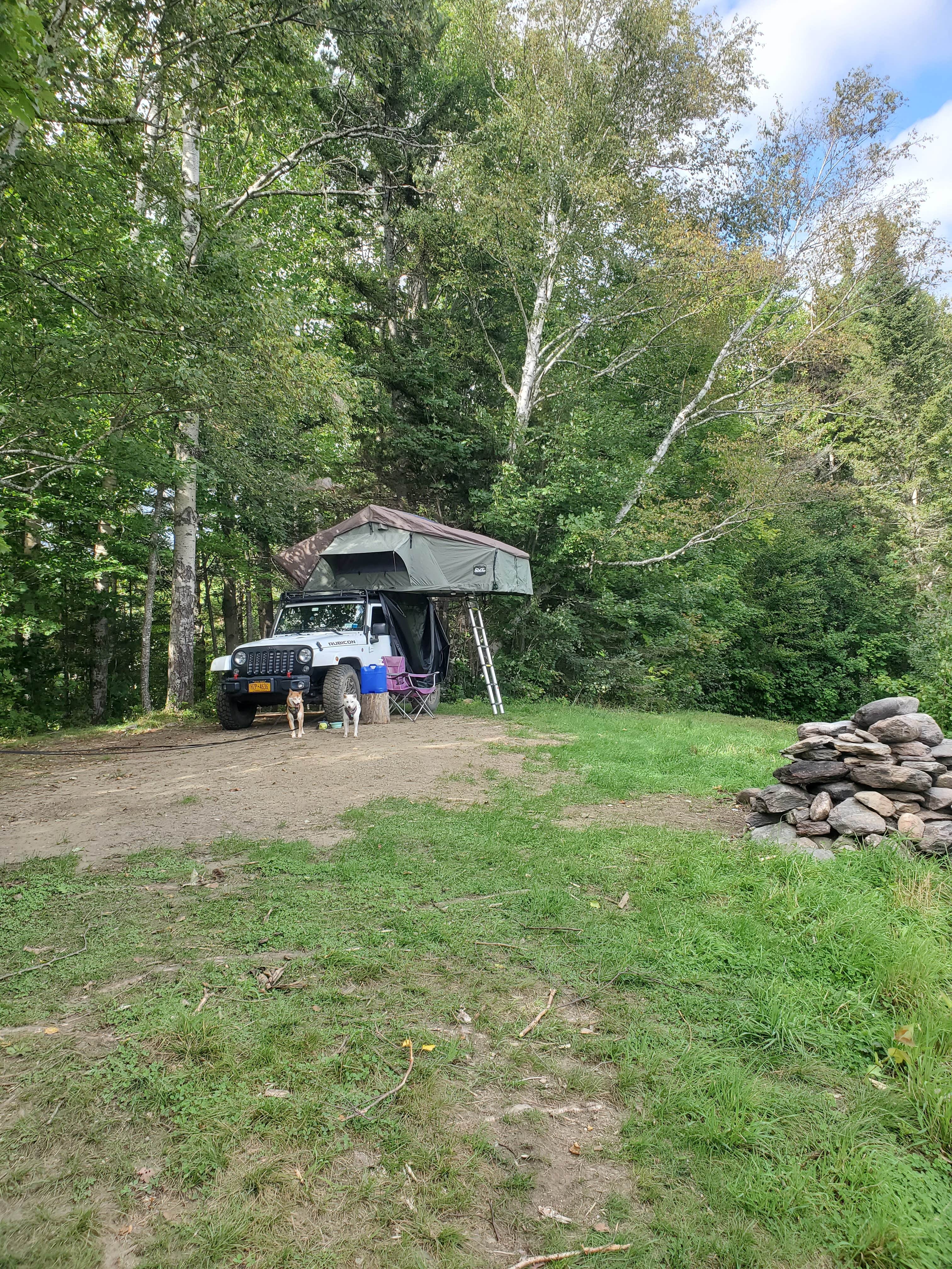 Camper submitted image from Green Mountain National Forest FR207 - 5