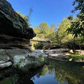 Review photo of Dixon Springs State Park Campground by Muffy Clark G., September 5, 2021