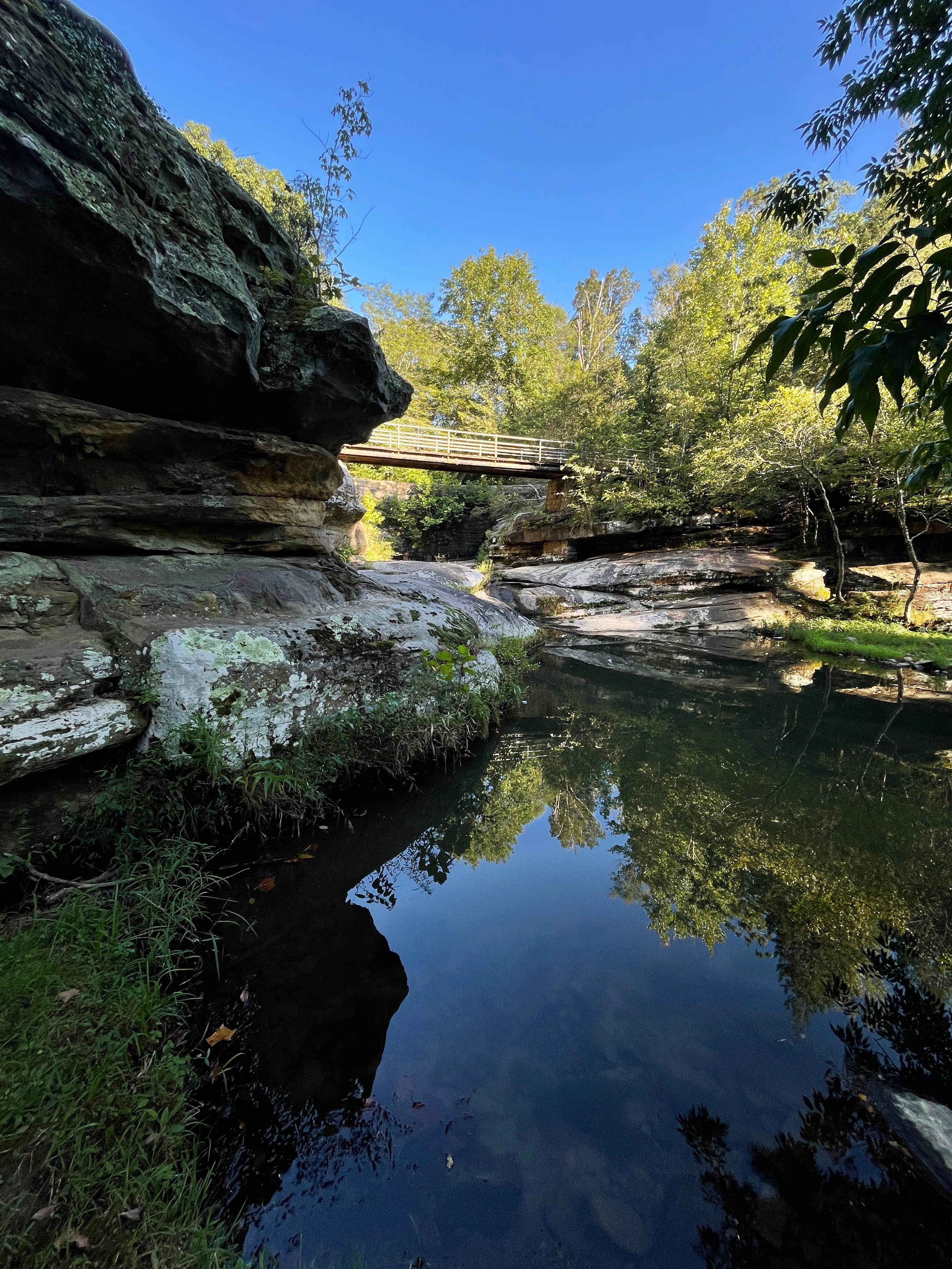 Escape To The Enchanting Woods: Dixon Springs State Park, Illinois