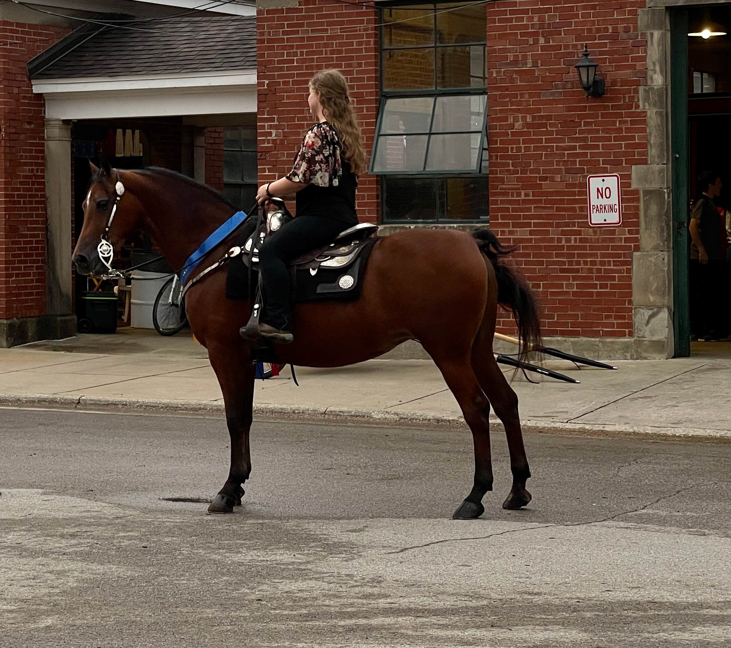Camper-submitted photo at Illinois State Fair Campground near Jacksonville, IL