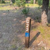 Review photo of Mazama Village Campground — Crater Lake National Park by Jennifer W., September 6, 2021