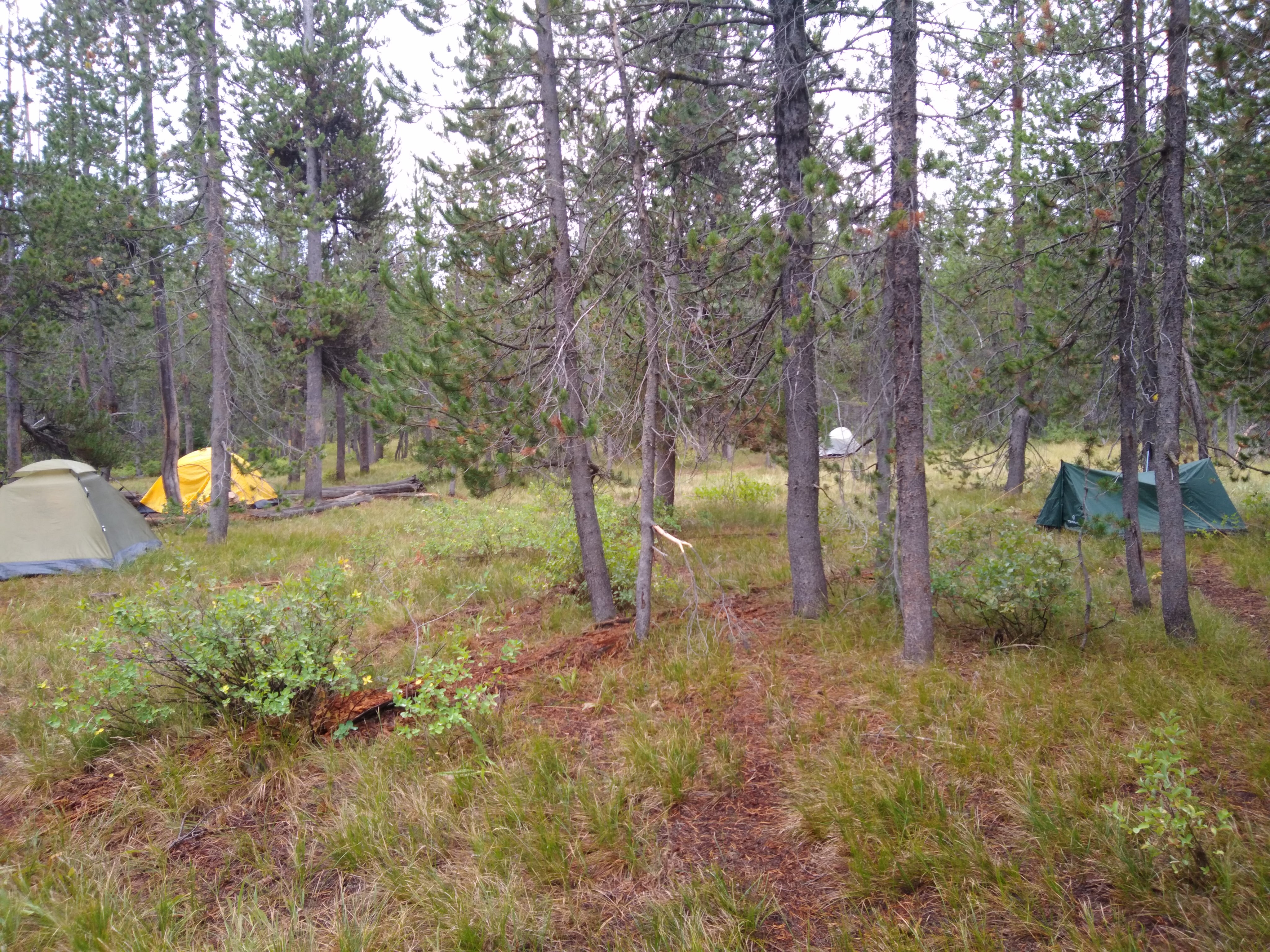 Camper submitted image from 9C1 Yellowstone National Park Backcountry — Yellowstone National Park - 1