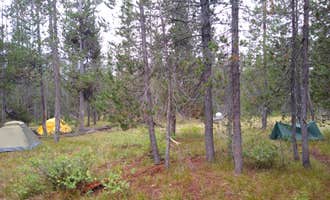Camping near Grand View Campground (Targhee NF): 9C1 Yellowstone National Park Backcountry — Yellowstone National Park, John D. Rockefeller Jr. Memorial Parkway, Wyoming