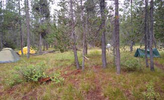 Dexter I.'s photo of tent camping at 9C1 Yellowstone National Park Backcountry — Yellowstone National Park near Felt, ID