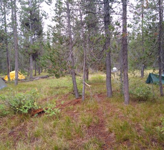 Camper-submitted photo from 9C1 Yellowstone National Park Backcountry — Yellowstone National Park