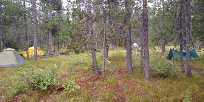 Camper submitted image from 9C1 Yellowstone National Park Backcountry — Yellowstone National Park