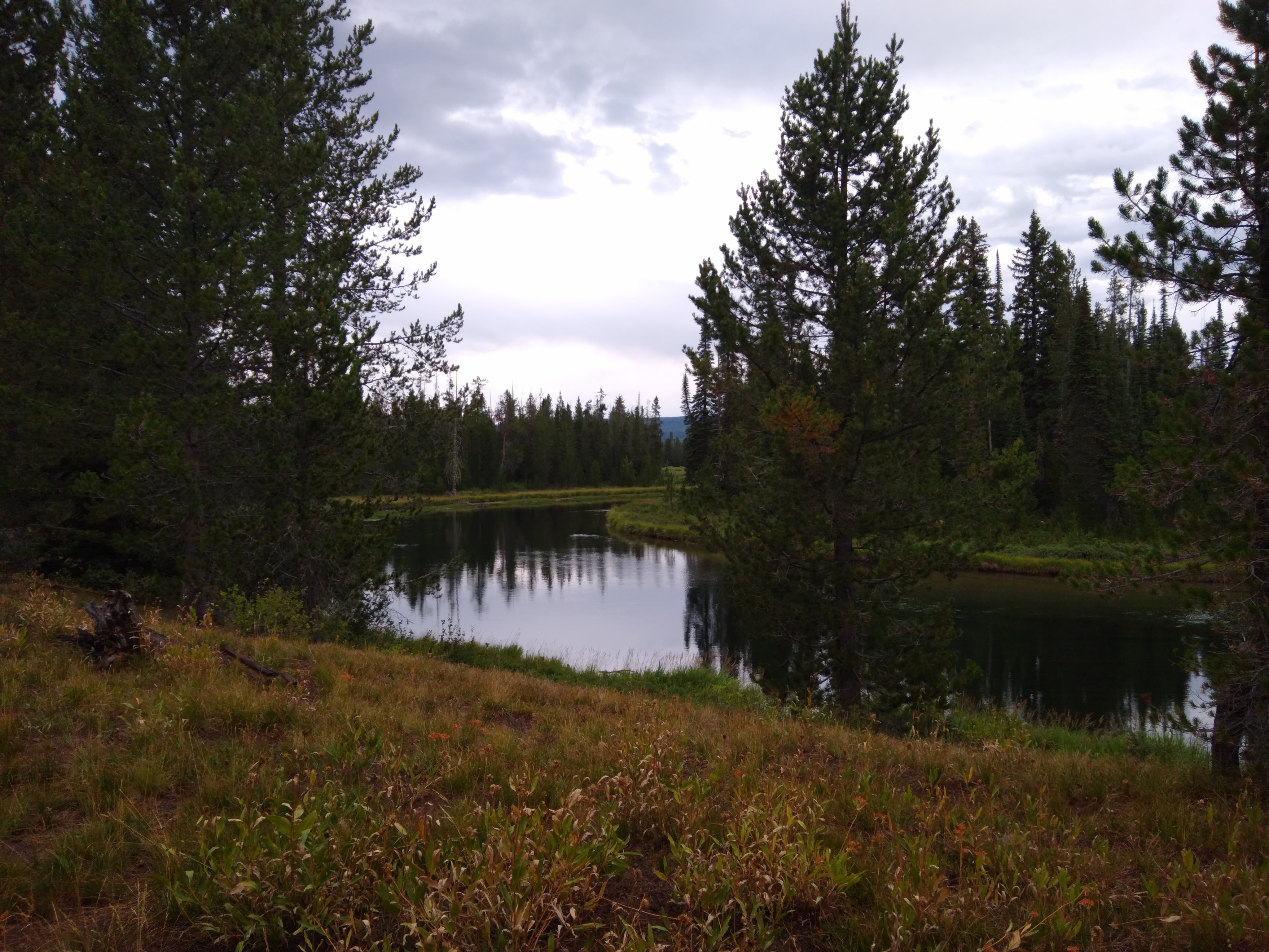 Camper submitted image from 9C1 Yellowstone National Park Backcountry — Yellowstone National Park - 4