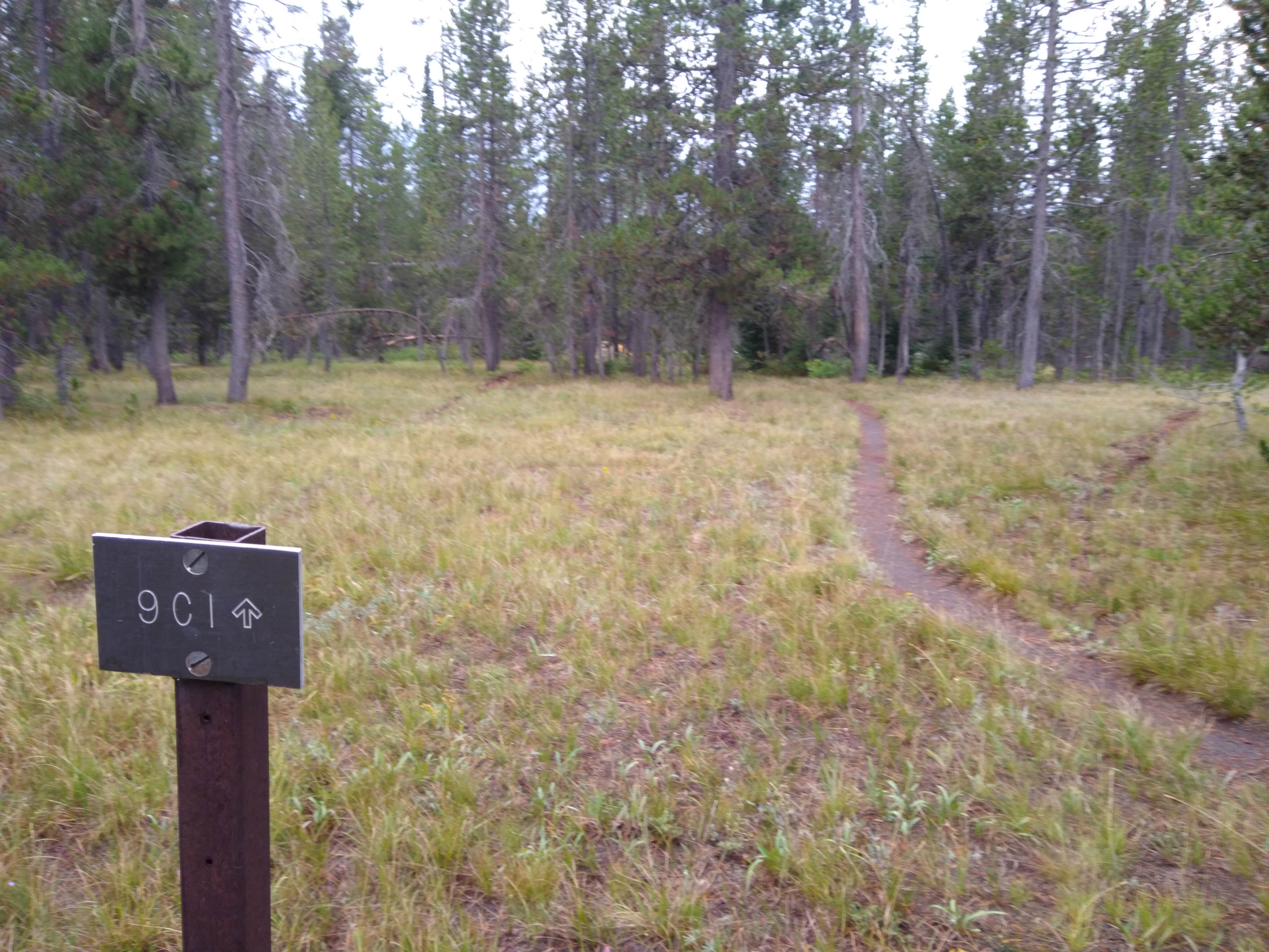 Camper submitted image from 9C1 Yellowstone National Park Backcountry — Yellowstone National Park - 2