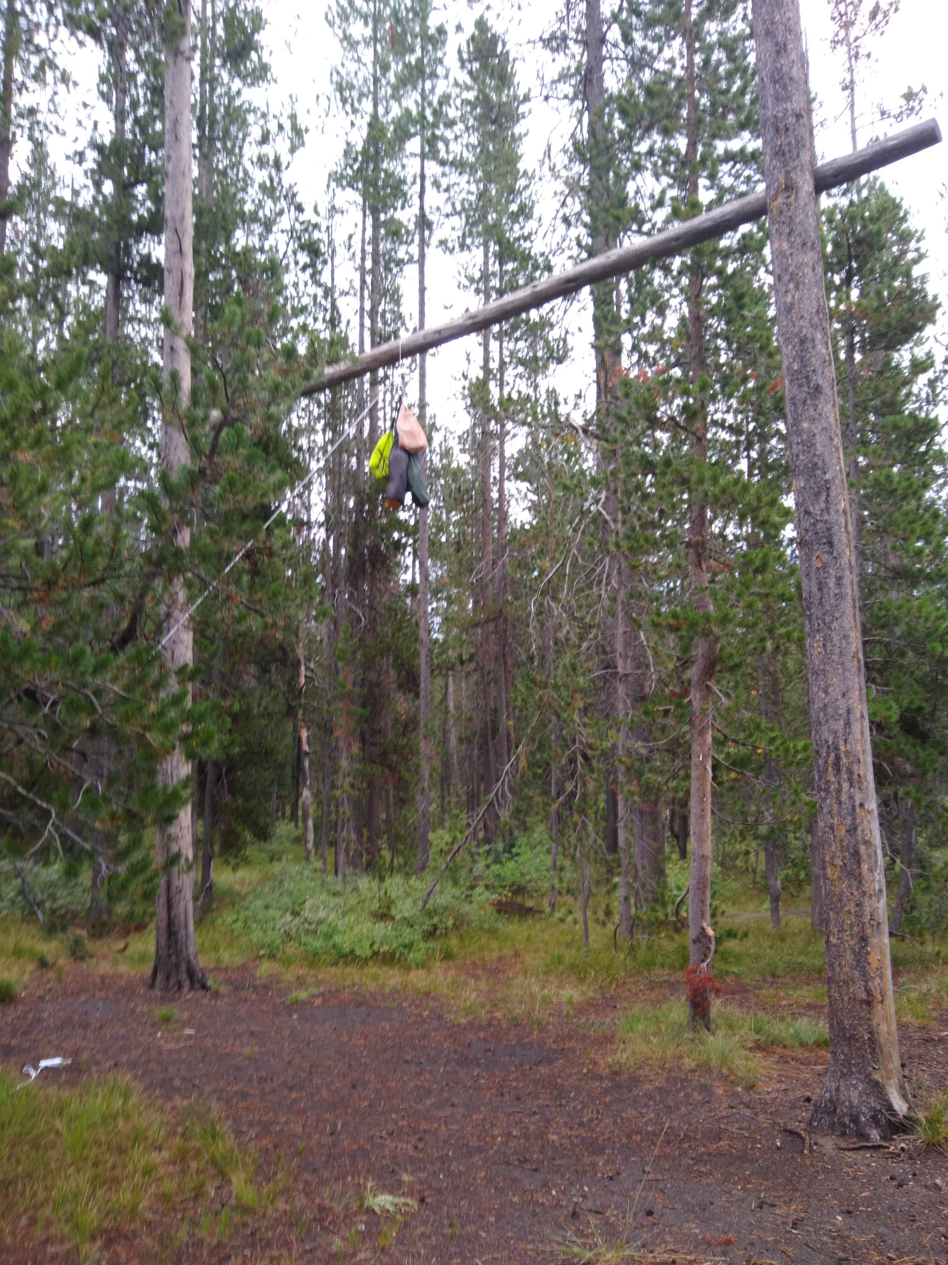 Camper submitted image from 9C1 Yellowstone National Park Backcountry — Yellowstone National Park - 3