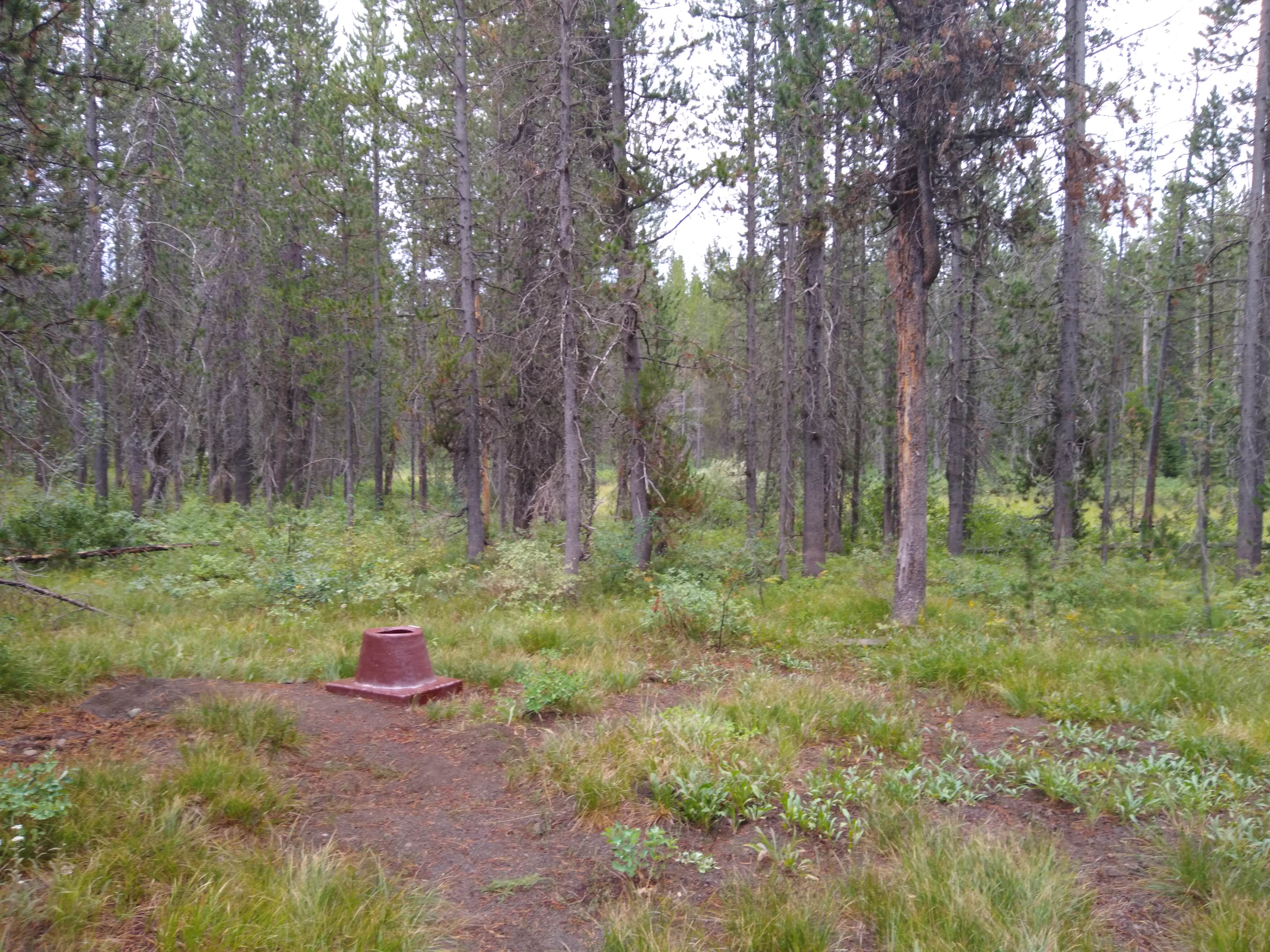 Camper submitted image from 9C1 Yellowstone National Park Backcountry — Yellowstone National Park - 5