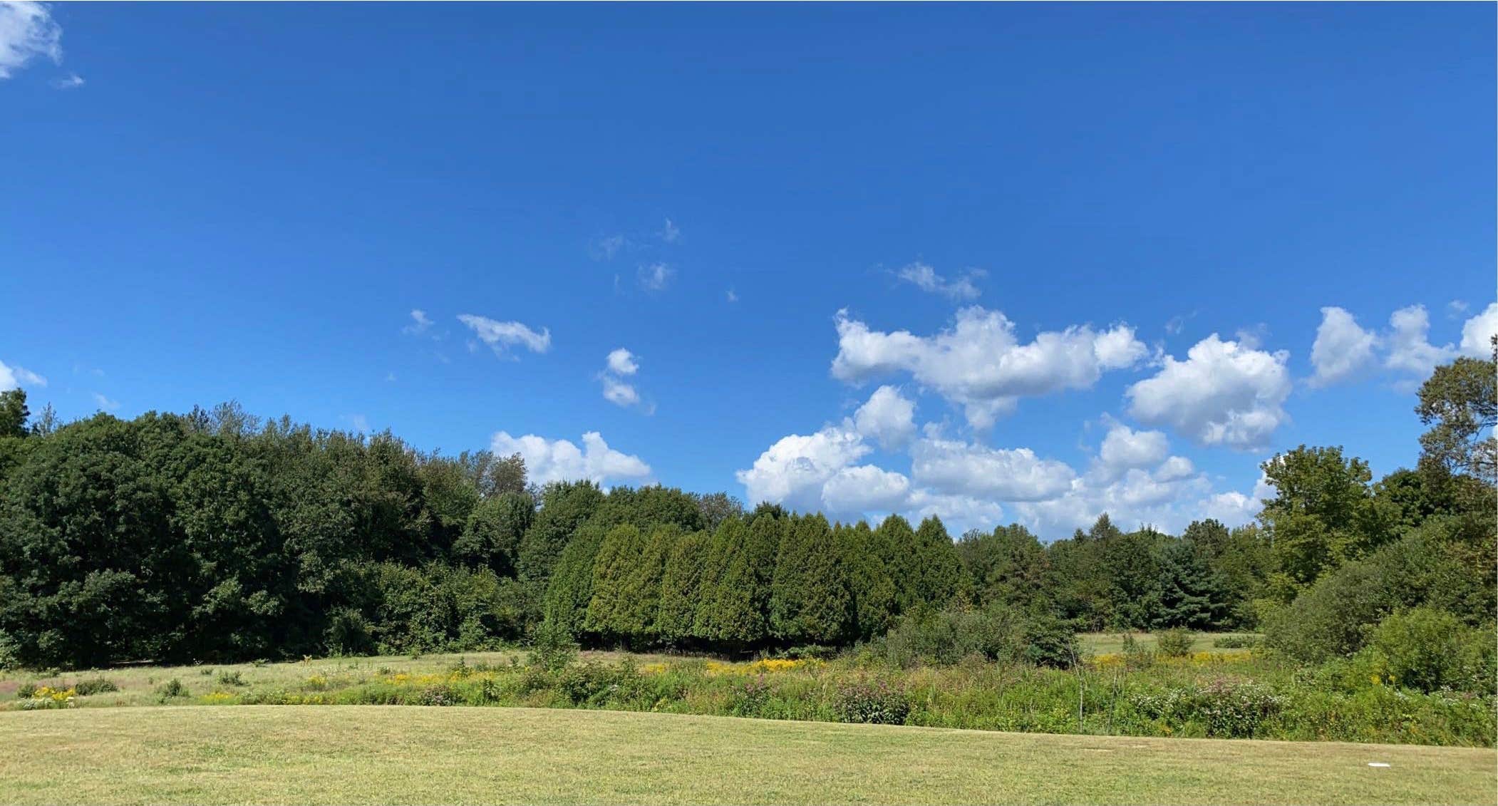 Camper-submitted photo at Michawana Campground near Bellevue, MI