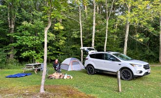 Camping near Red Bridge Recreation Area - Allegheny National Forest:  Kinzua East KOA, Westline, Pennsylvania