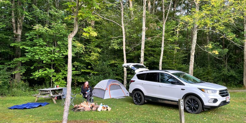 Camper submitted image from Kinzua East KOA