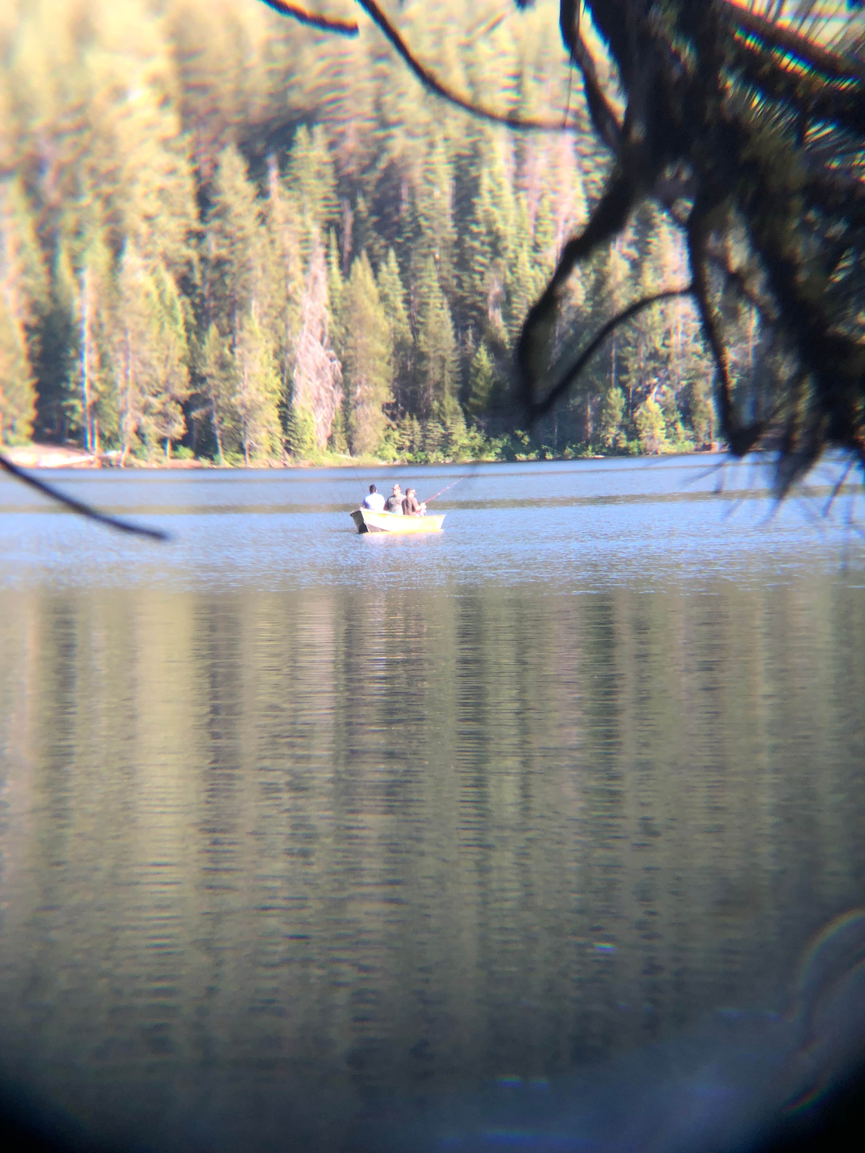 Camper submitted image from Sage Hen Flats Campground - 2