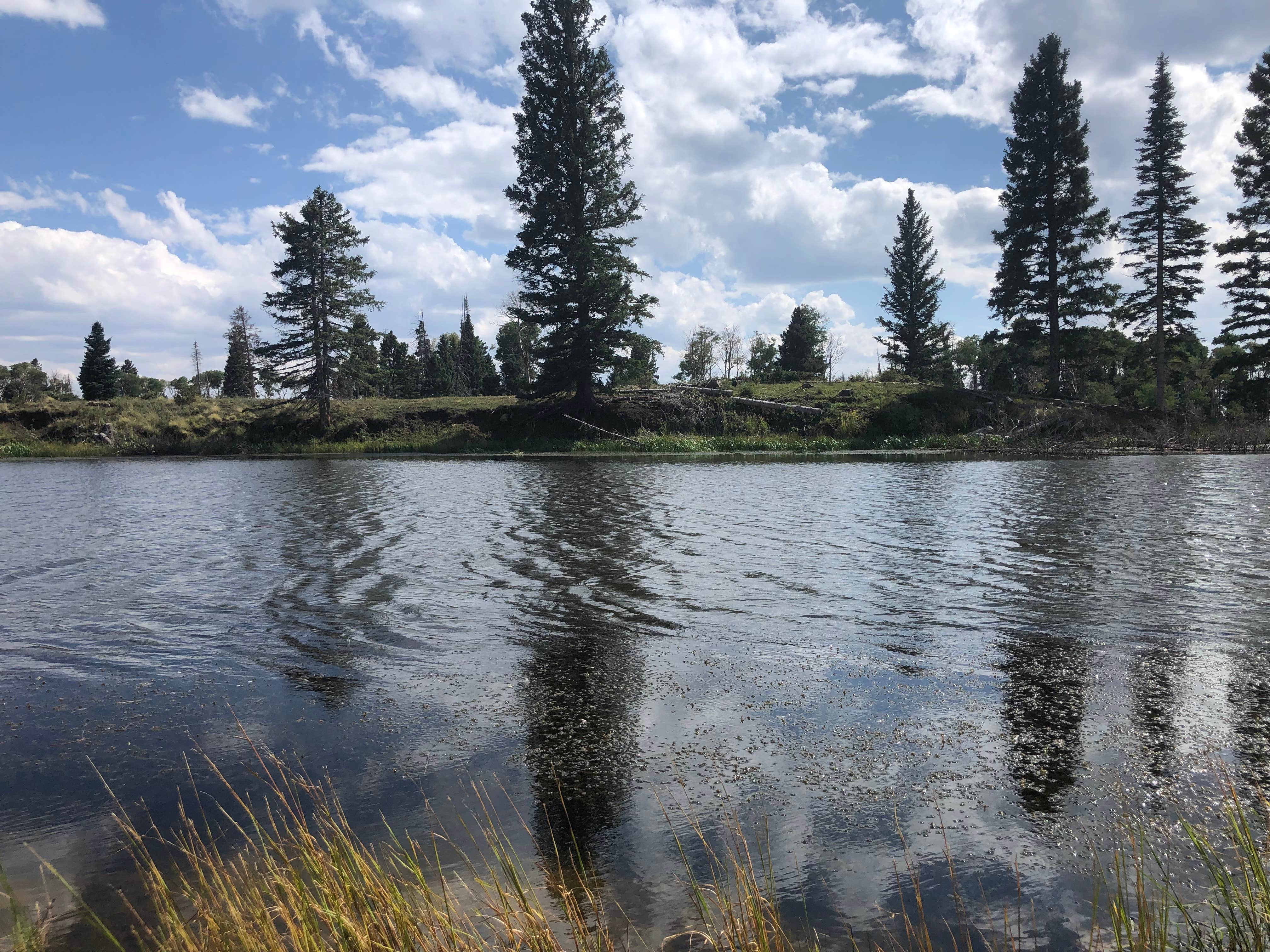 Camper-submitted photo at Lower Canjilon Lake Campground near El Rito, NM