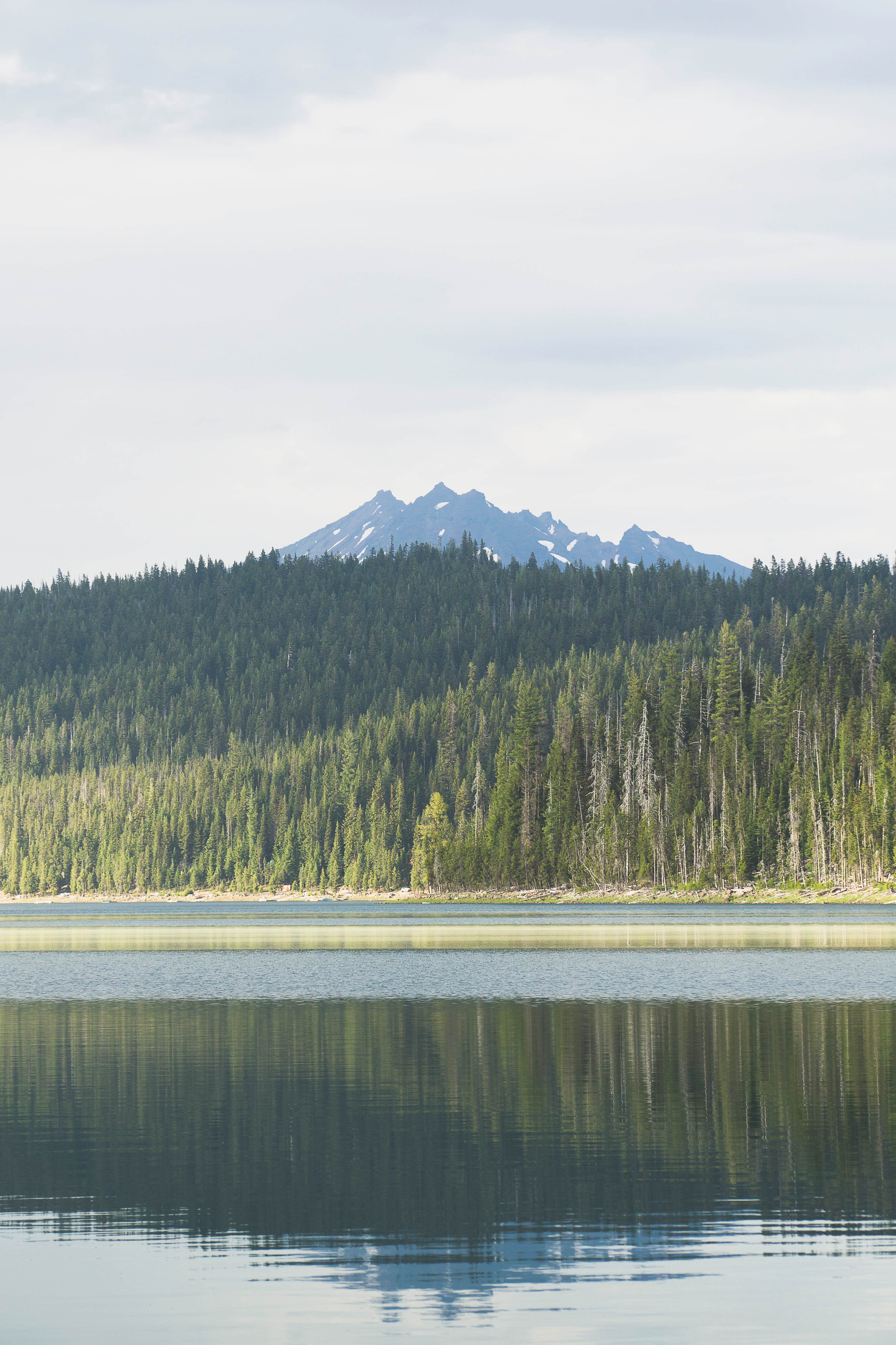 Camper submitted image from The Point - Elk Lake - 3