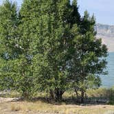 Review photo of Lake Shore Campground — Buffalo Bill State Park by Daniel L., September 6, 2021