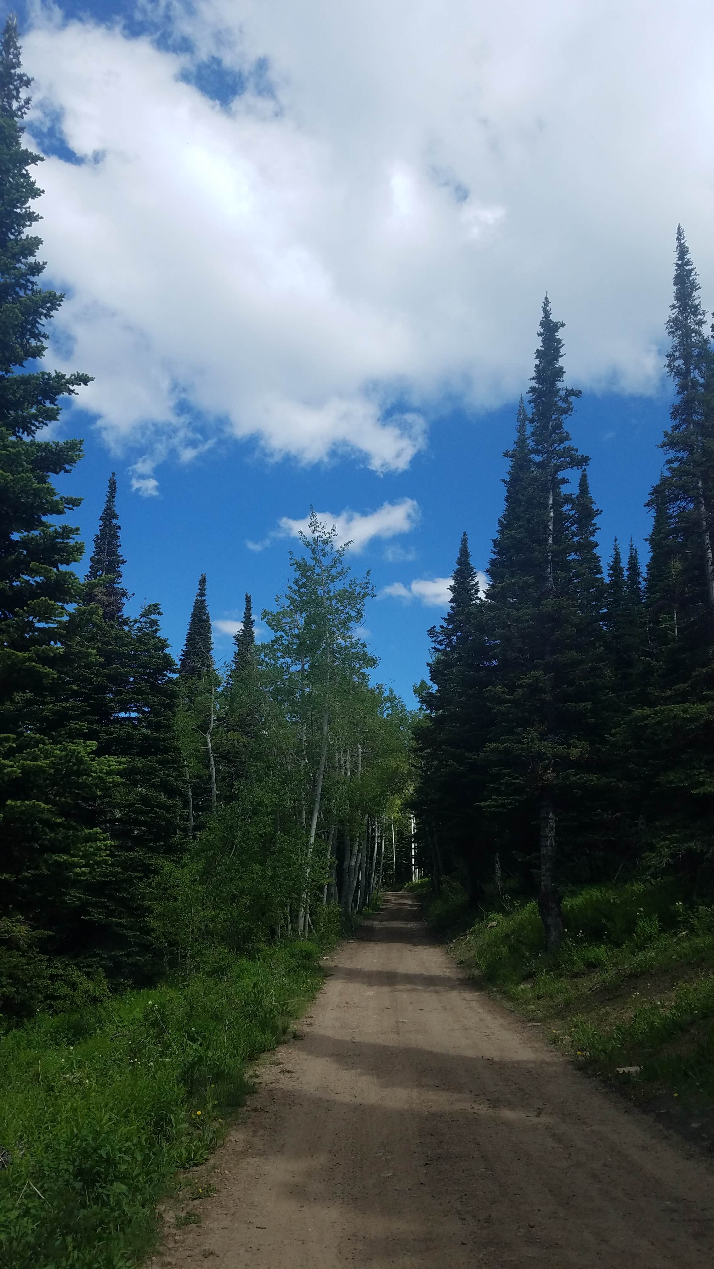 Camper submitted image from Independence Lakes Campground - 5
