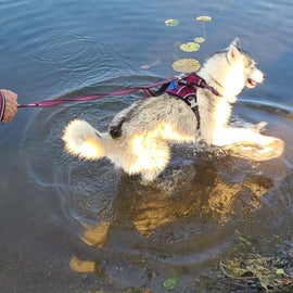 Fun in the water