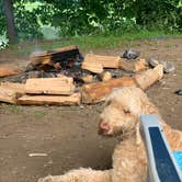 Review photo of Skinners Falls Campground by jake , September 6, 2021