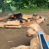 Review photo of Skinners Falls Campground by jake , September 6, 2021