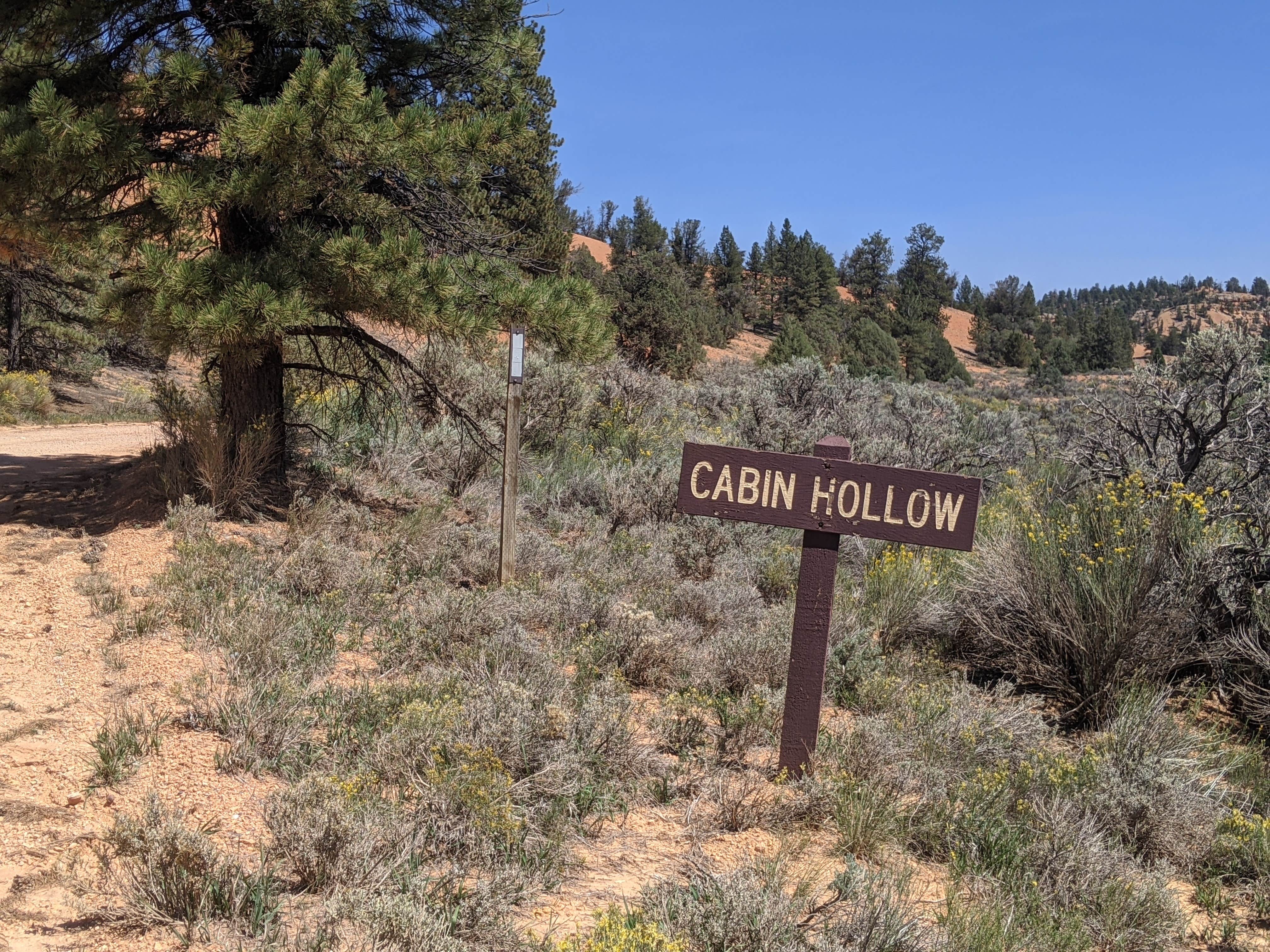 Best dispersed camping in Fishlake National Forest The Dyrt