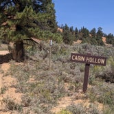 Review photo of Cabin Hollow FS #121 Dispersed Camping by Greg L., September 6, 2021