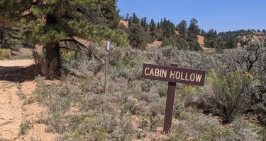 Cabin Hollow FS #121 Dispersed Camping
