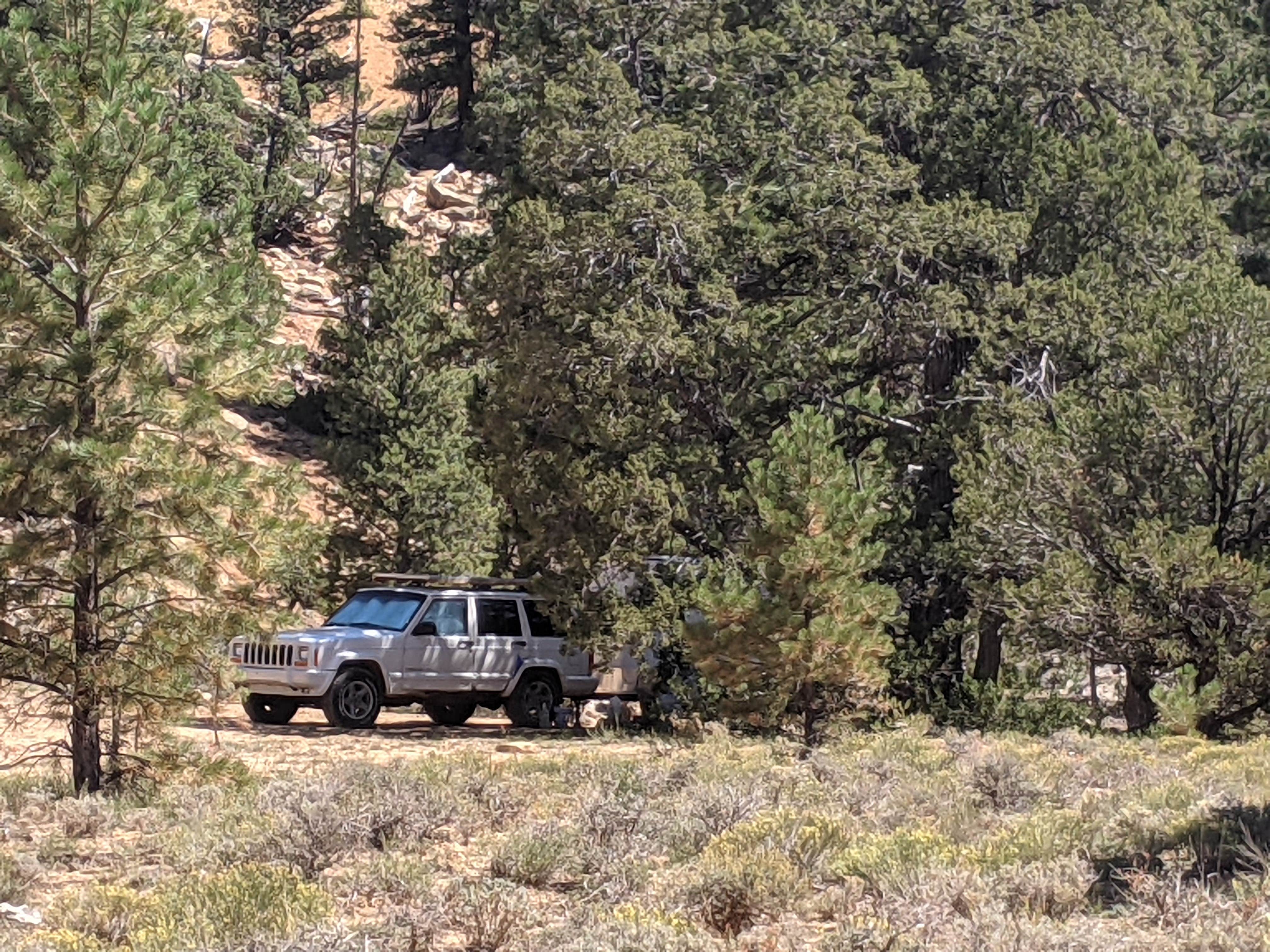 Camper submitted image from Cabin Hollow FS #121 Dispersed Camping - 5
