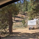 Review photo of Cabin Hollow FS #121 Dispersed Camping by Greg L., September 6, 2021