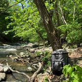 Review photo of Copake Falls Campground by jake , September 6, 2021