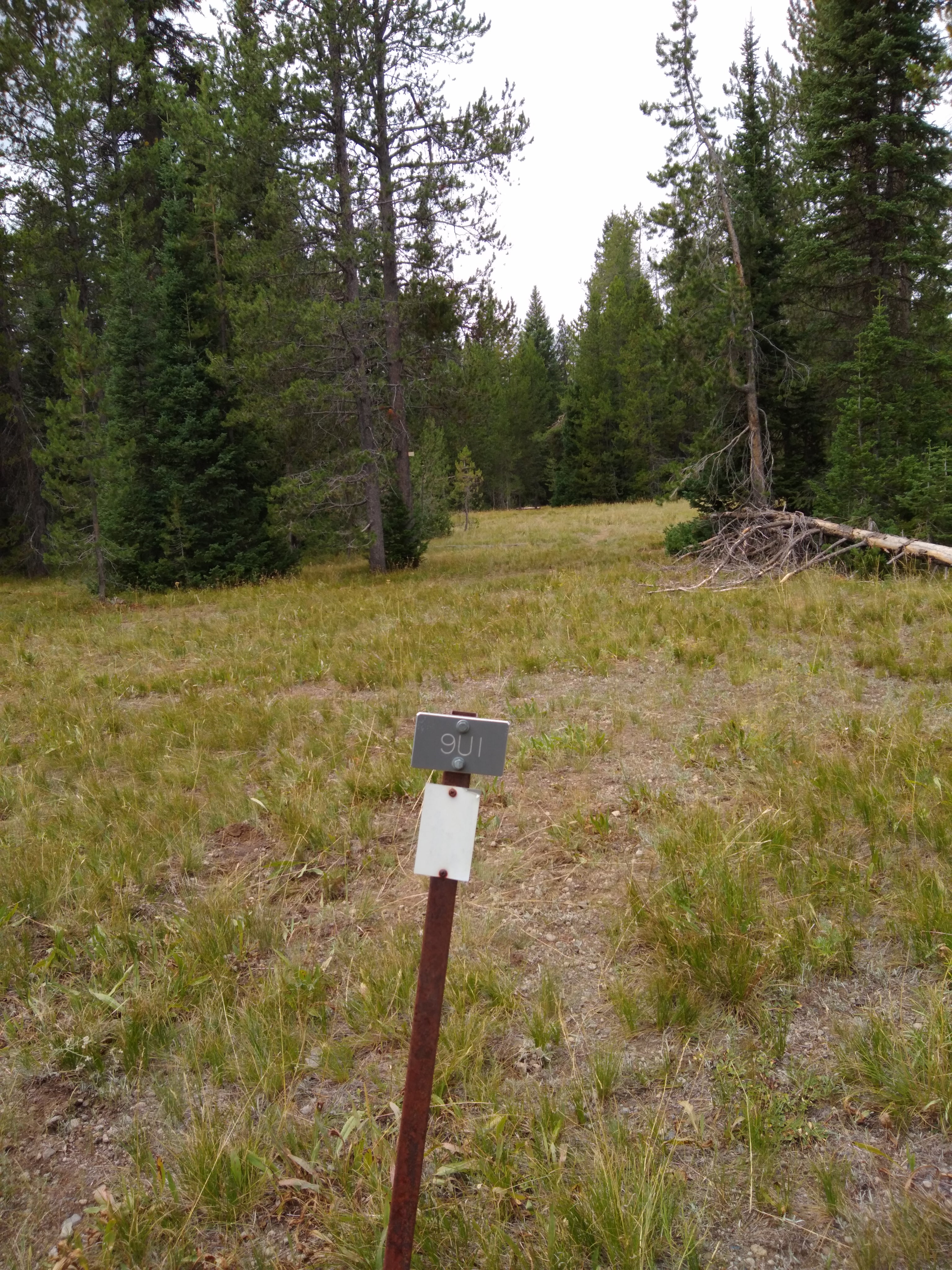Camper submitted image from 9U1 Yellowstone National Park Backcountry — Yellowstone National Park - 1