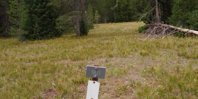 Camper submitted image from 9U1 Yellowstone National Park Backcountry — Yellowstone National Park