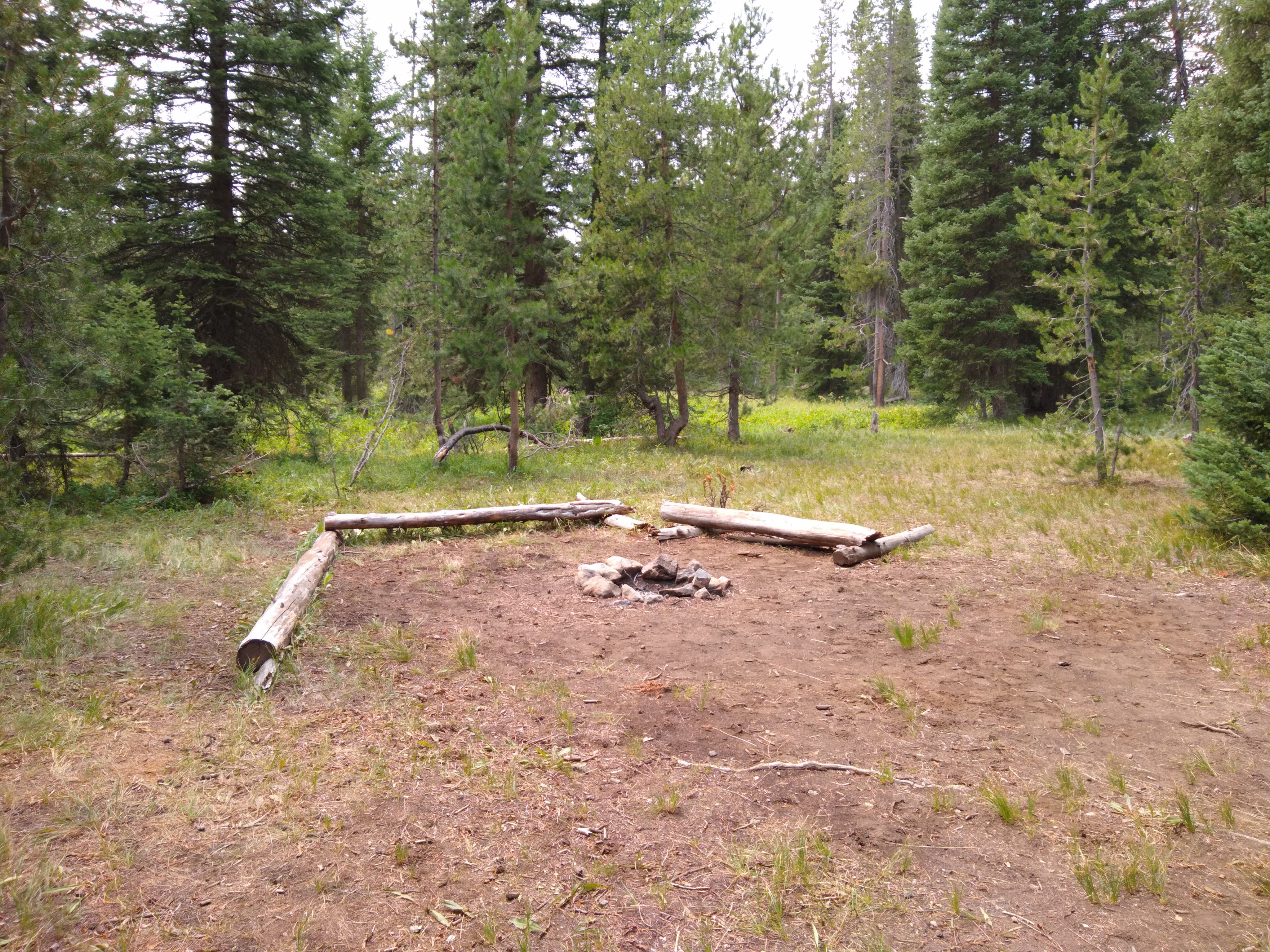 Camper submitted image from 9U1 Yellowstone National Park Backcountry — Yellowstone National Park - 2