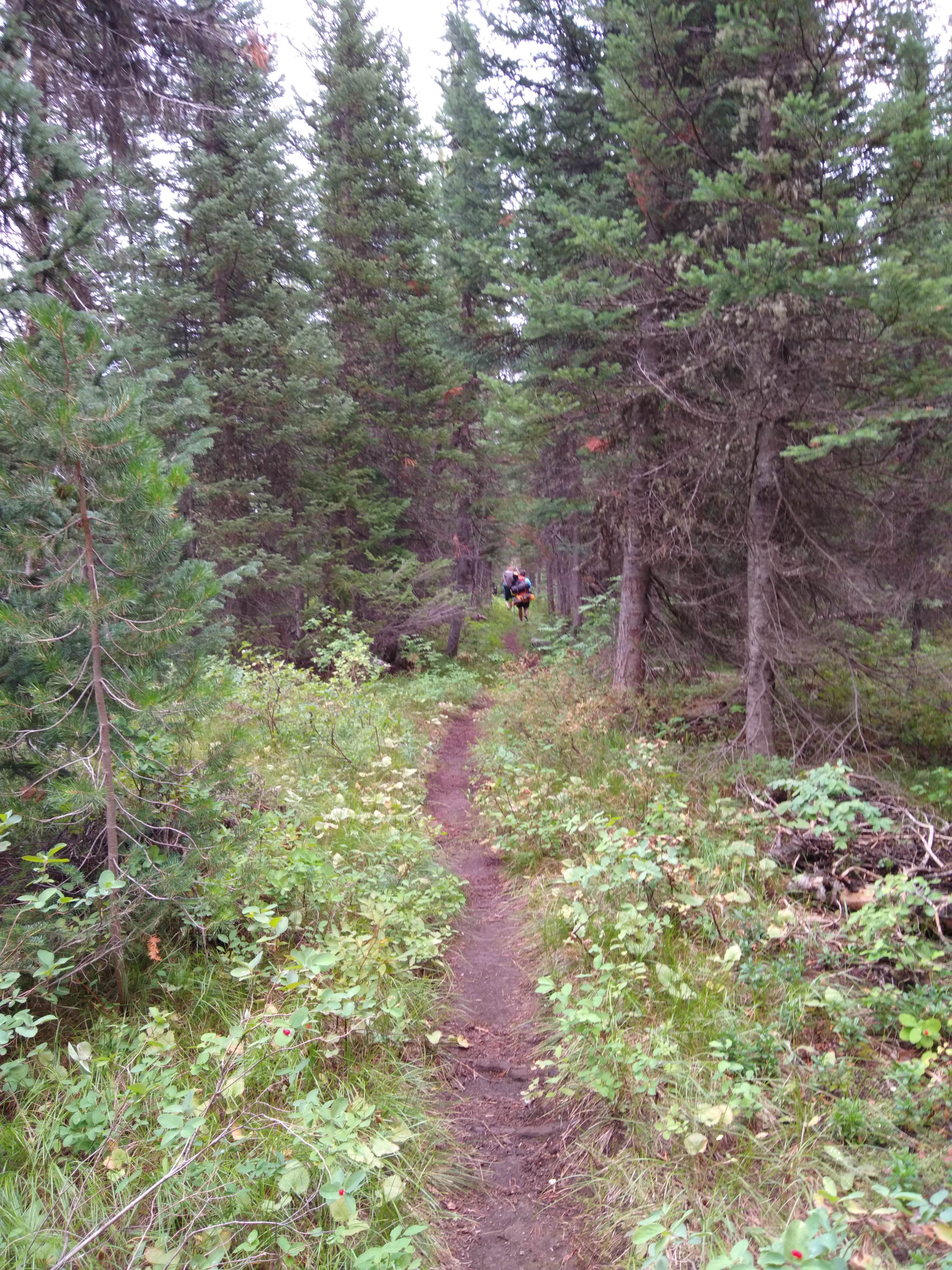 Camper submitted image from 9F1 Yellowstone National Park Backcountry — Yellowstone National Park - 2