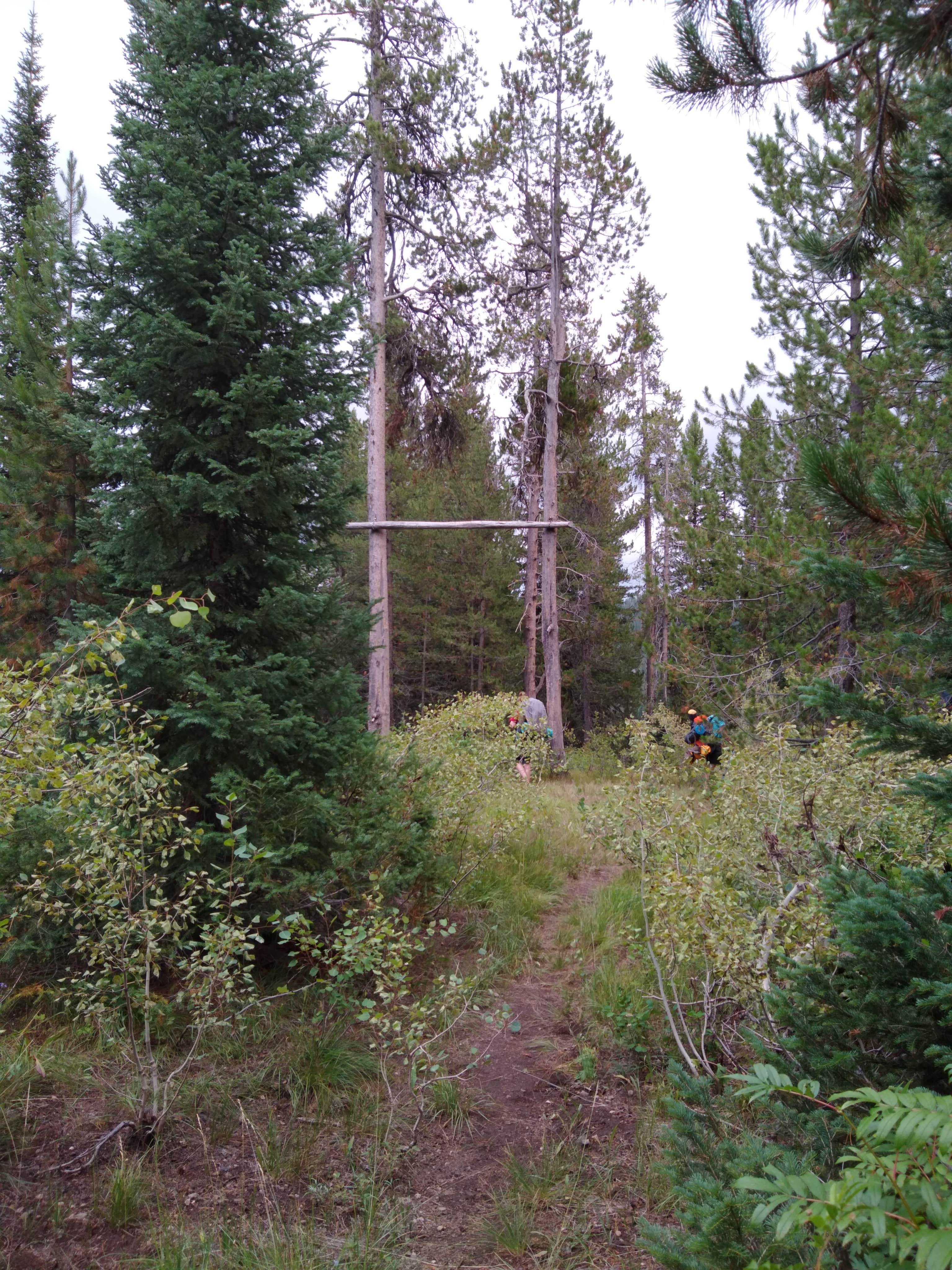 Camper submitted image from 9F1 Yellowstone National Park Backcountry — Yellowstone National Park - 3